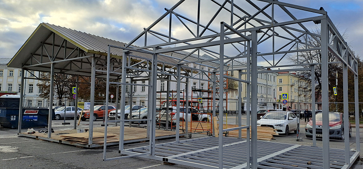 В Ярославле начался монтаж главного областного катка_255526