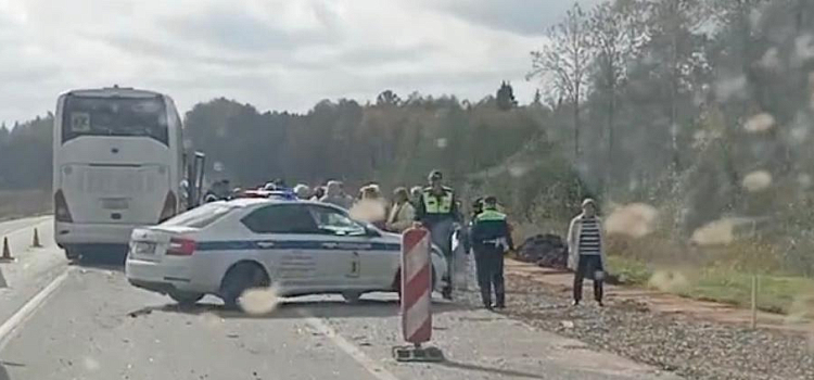 В Ярославской области на трассе М-8 столкнулись два автобуса_323929