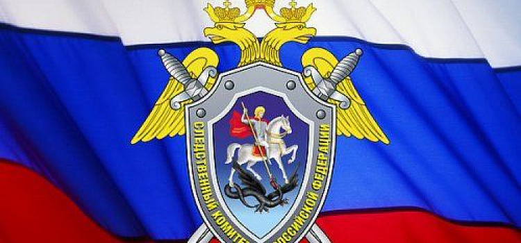  В Ярославле по подозрению в убийстве прохожего задержан 19-летний парень