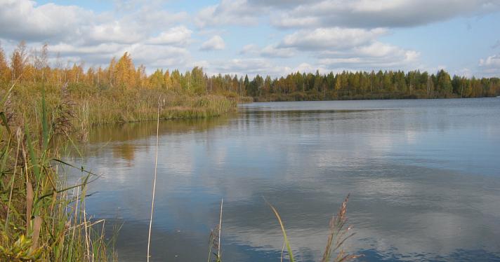 Взяточник платит дважды: компанию в Ярославской области оштрафовали на полмиллиона