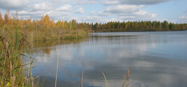Взяточник платит дважды: компанию в Ярославской области оштрафовали на полмиллиона
