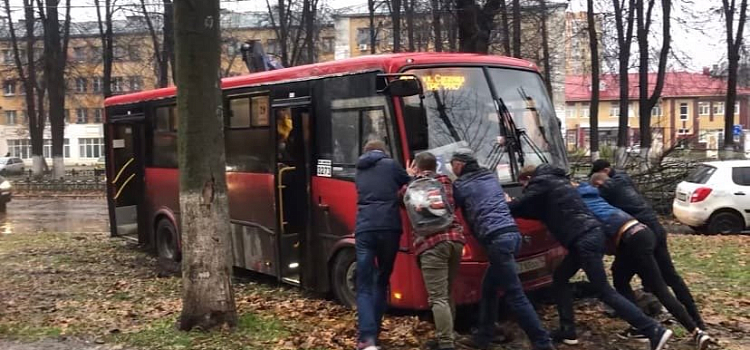 «Толкали всей маршруткой»: в Ярославле застрял автобус, объезжающий упавшее дерево
