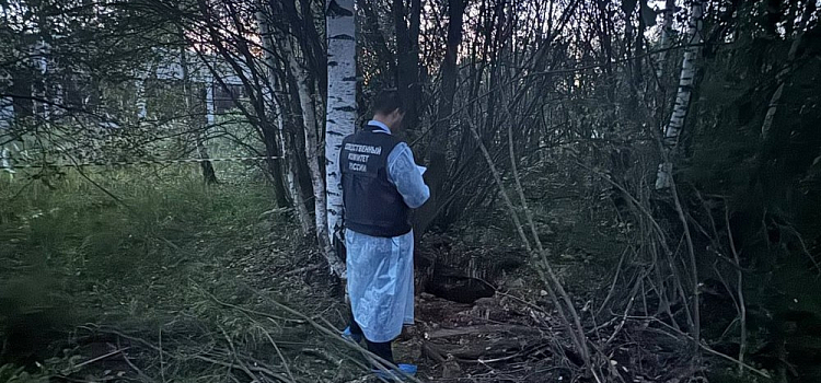 Глава Борисоглебского поселения получила год условно по делу о гибели ребёнка