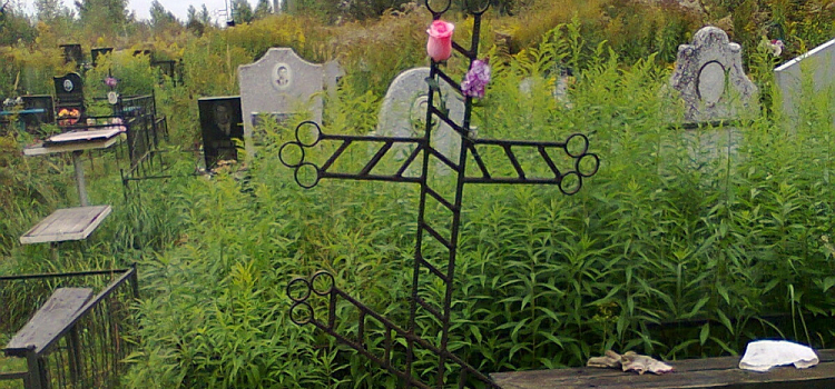 В Ярославле оцифровали Игнатовское кладбище