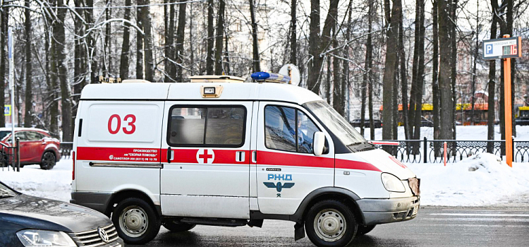 В ярославском дельфинарии серьёзно пострадал мужчина