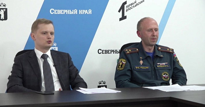 Штраф до трех тысяч: как ярославцев будут наказывать за розжиг костров
