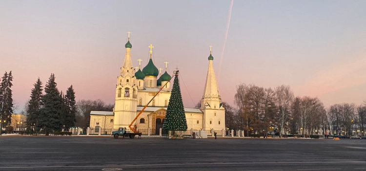 Фото дня. В Ярославле установили главную городскую елку