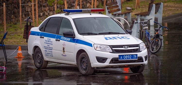 В Ярославле вынесли приговор пытавшемуся дать взятку горе-водителю