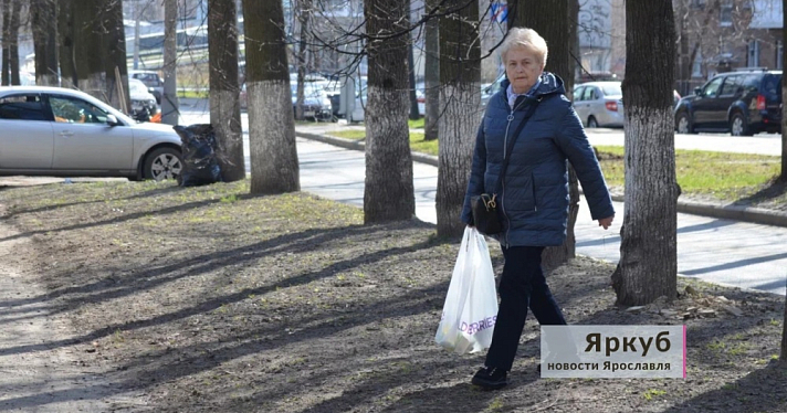В Ярославле после протестов местных жителей отклонили проект строительства «Технопарка Перовский»