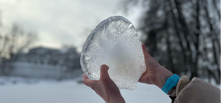 «Мы создаём то, чего там нет, из того, что там есть». Большой разговор о ленд-арте с сотрудницей ЯХМ_310492