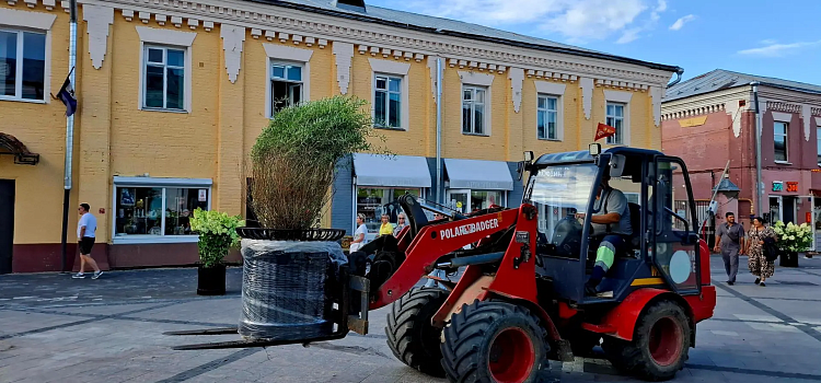 Улицу Депутатскую в Ярославле заполняют мобильным озеленением_321517