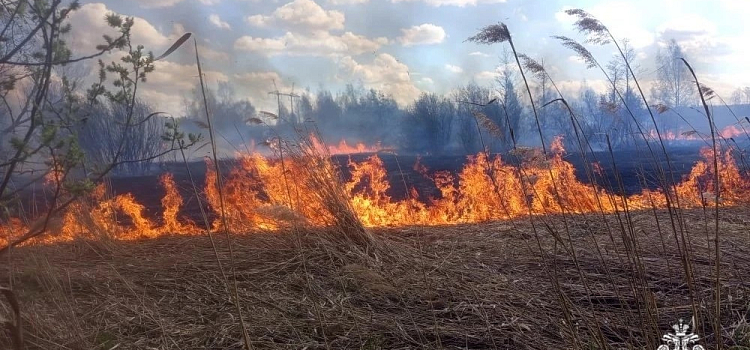 В Ярославле произошёл большой пал сухой травы_315505