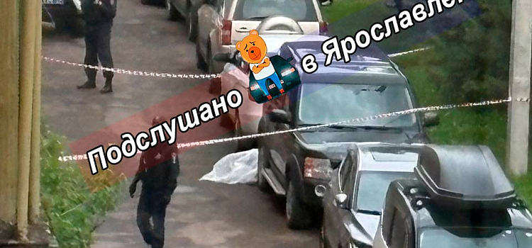 «Как будто из фильма ужасов»: в Ярославле прохожий порезал двух молодых мужчин