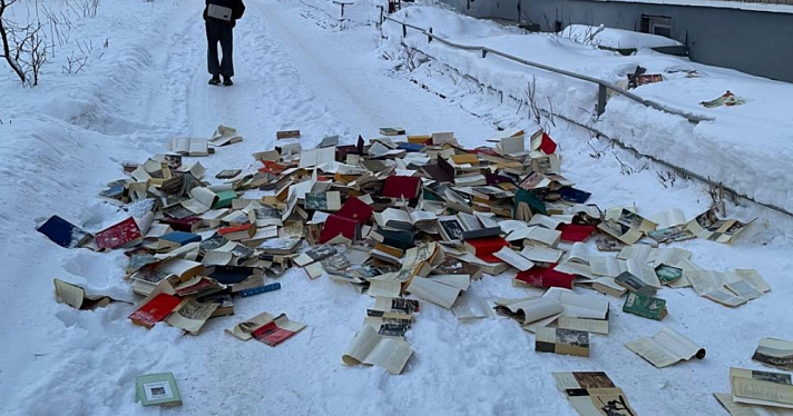 Героиня нашего времени: ярославна выбросила гору книг из окна