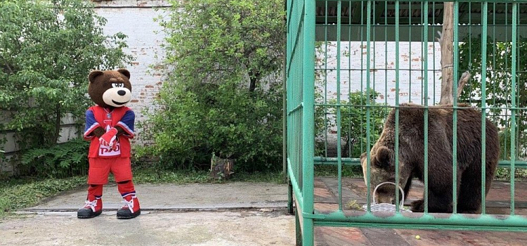 Видео дня. Медведица Маша встретилась с талисманом ярославской хоккейной команды