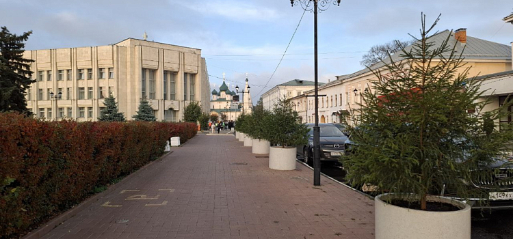 Улицу в центре Ярославля посреди октября украсили ёлками