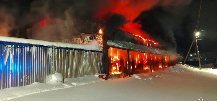 На Угличской птицефабрике произошёл крупный пожар_310557