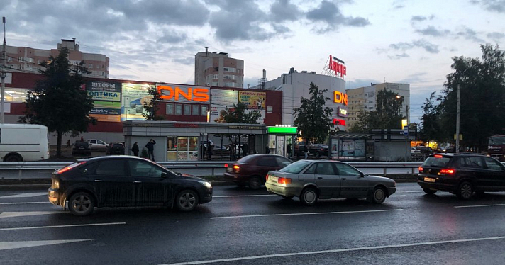 В Ярославской области произошло более 150 ДТП с участием лосей