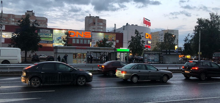 В Ярославской области произошло более 150 ДТП с участием лосей