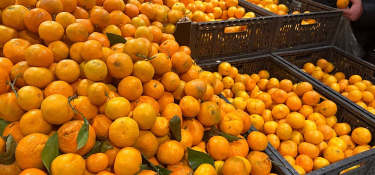 Новогодний стол — 2023: сколько тысяч придется потратить на продукты в этом году?
