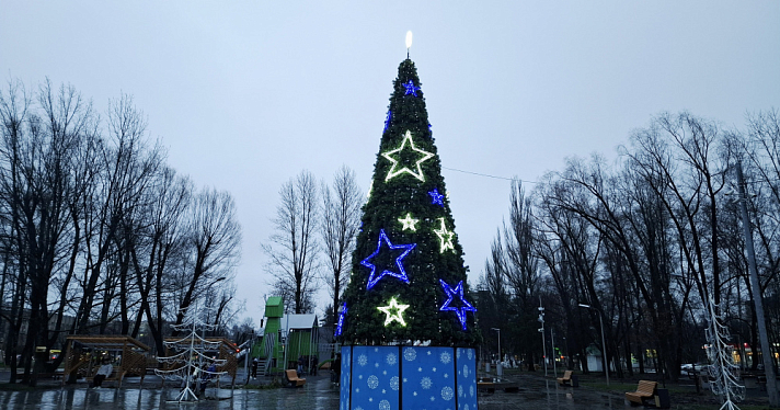 Ярославцам предрекли очень тёплую зиму без снега