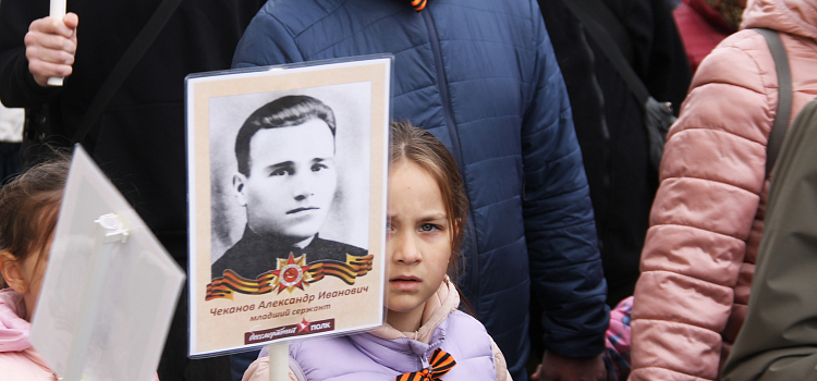 «Бессмертный полк» в Ярославле собрал около десяти тысяч участников_296439