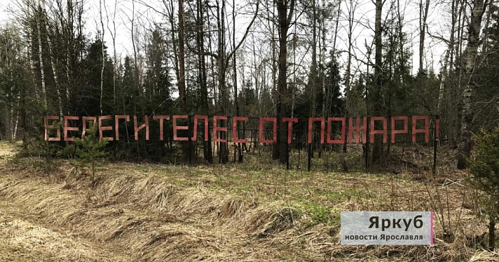 Будьте осторожны! В Ярославской области продлили особый противопожарный режим