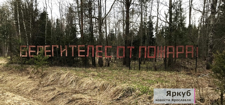 Будьте осторожны! В Ярославской области продлили особый противопожарный режим