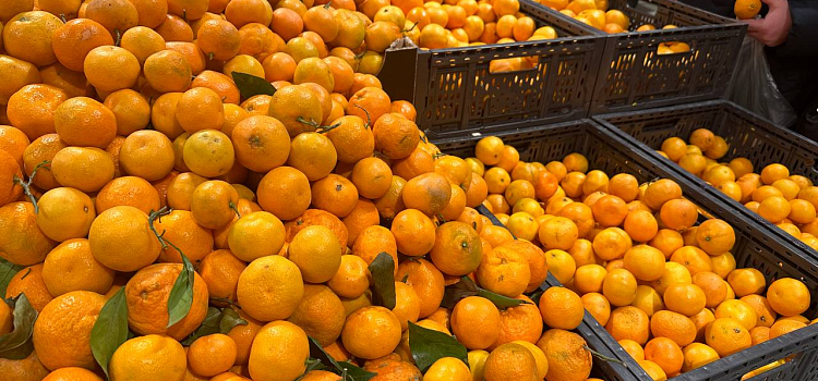 Новогодний стол — 2023: сколько тысяч придется потратить на продукты в этом году?_229890