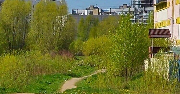 Не отпускайте детей одних: ярославские родители сообщили об эксгибиционисте рядом с одной из школ