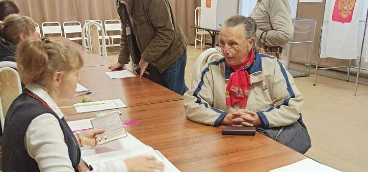 На осенних выборах ярославцы смогут проголосовать удалённо