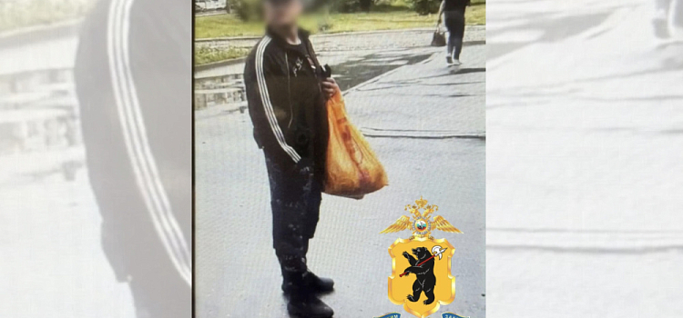Ярославский поджигатель летней веранды кафе «Много рыбы» задержан