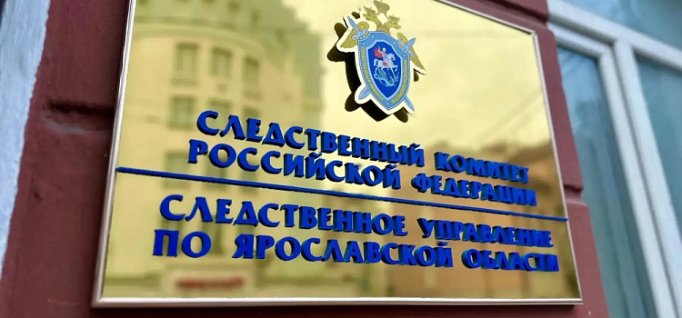 В отношении бывшей ярославской журналистки возбудили уголовное дело