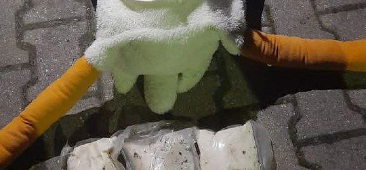 «Распороли брюхо гусю»: в Ярославле оперативники нашли почти полтора килограмма наркотиков в мягкой игрушке