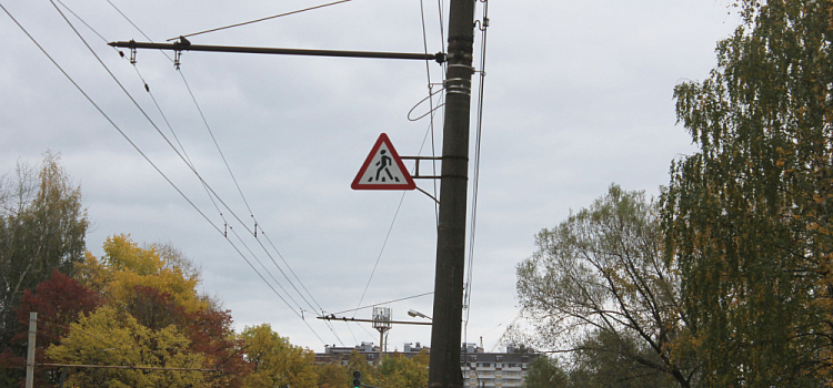 Госавтоинспекция предупреждает: смотрите по сторонам, когда переходите дорогу