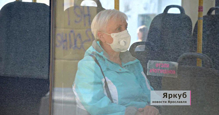 «Повезет — не повезет»: ярославцы жалуются на работу питерского перевозчика