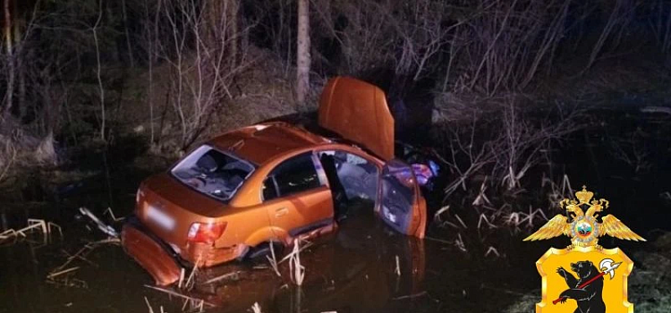 В Ярославской области после столкновения с лосем пострадали три человека