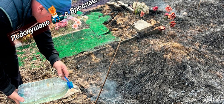 В Ярославле загорелось Осташинское кладбище_294840