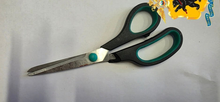 «Не стыдно? Стыдно»: в ярославском магазине мужчина ударил ножницами по голове женщину _310014