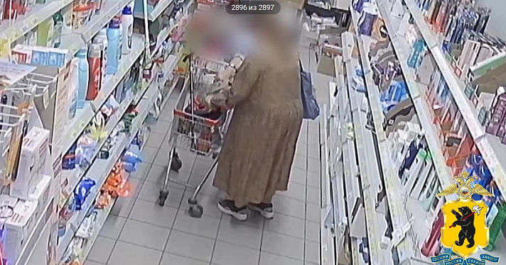 В Ярославле задержали женщину, промышлявшую кражей кошельков в магазинах