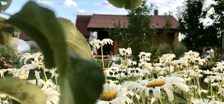 В Ярославской области усилили связь для более чем 3000 дачников