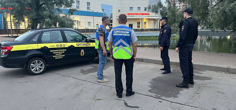 Выгуливали без поводка и не убирали за питомцами: в Ярославле оштрафовали 12 собачников_279169