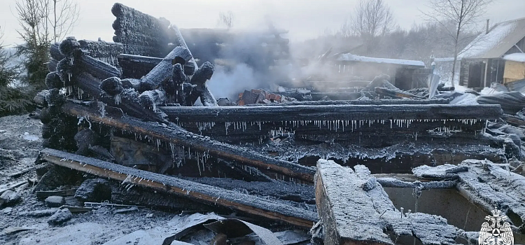В деревне Ярославской области при пожаре пострадала пенсионерка_310402