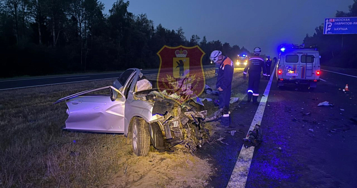 Два человека погибли в ночной аварии с лосем и фурой на М-8 под Ярославлем