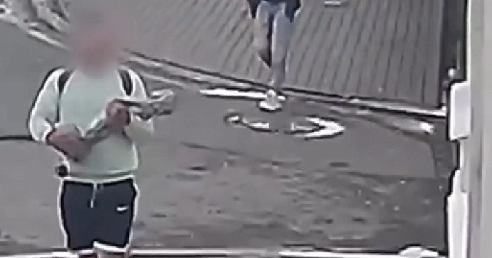 В центре Ярославля молодые люди похитили скульптуру писающего мальчика