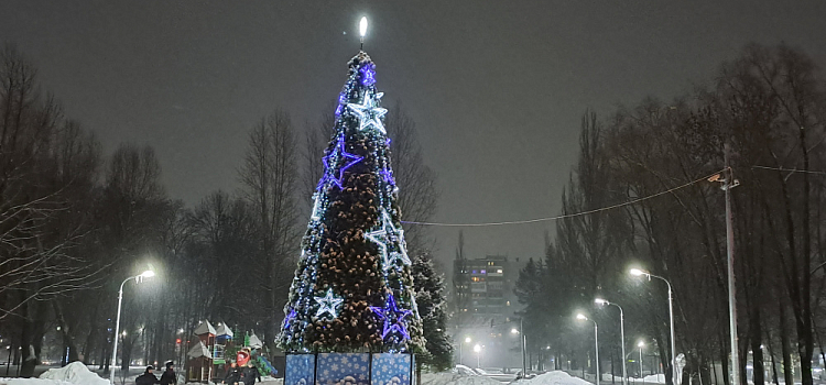 Жителей Дзержинского района Ярославля оставили без гуляний в парке в новогоднюю ночь