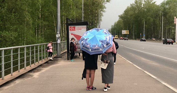 Бабье лето в ЦФО? Прогноз погоды на конец сентября в Ярославле