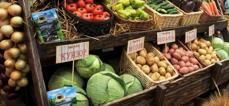 В Ярославской области снизились цены на овощи и картофель