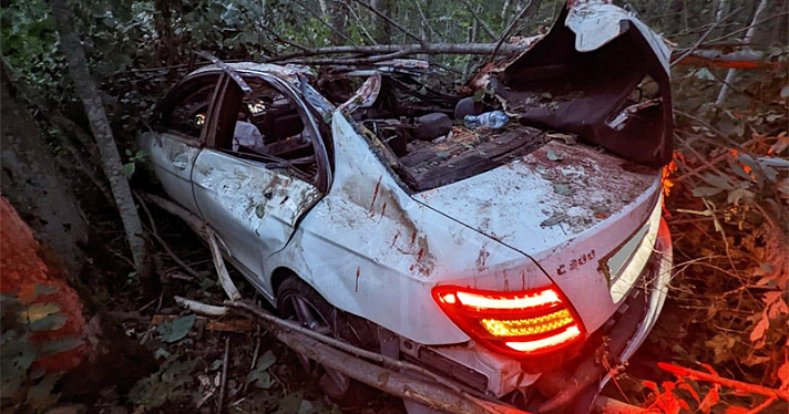 В Ярославской области в ДТП с лосем погибла молодая девушка
