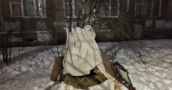 Забился в шалаш, словно ища укрытие: в Ярославле спасли пса, жестоко избитого неизвестным